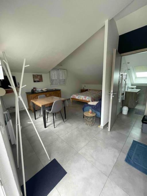 Studio Tout Equipe Aux Pieds Des Vosges Leimbach Extérieur photo